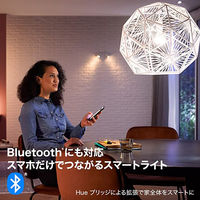 シグニファイ Hue ホワイトグラデーションシングル E17　PF版 PLH47GS 1個（直送品）