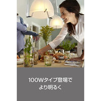 シグニファイ Hue ホワイトグラデーションシングルランプ 100W PF版 PLH73GL 1個（直送品）