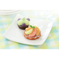 アーテック 樹脂粘土セレネでつくるフェイクフードベーシックキット 23762 1個