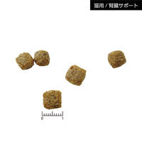 Vetsolution ベットソリューション 猫用 腎臓サポート 1.5kg（直送品）