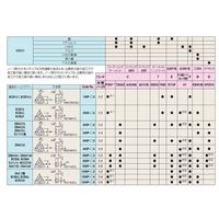 日研工作所 インサートチップ 3MS-F2-NB H1 1セット(10PC)（直送品）