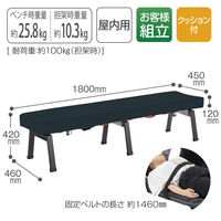 【軒先渡し】テラモト クッション付きレスキューボードベンチ　脚部ブラック　ブラック BC3091277 1台（直送品）
