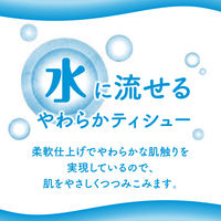 ティッシュペーパー ポケットティッシュ 10組（20個入） エリエールオーデュスポケット 1セット（60パック） 大王製紙