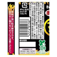 唐がらし族 ＜大辛＞ 唐辛子 45g 1個 ハウス食品