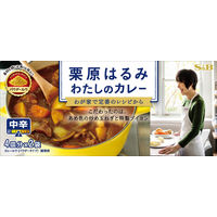 栗原はるみ わたしのカレー 中辛 3個 エスビー食品 パウダールゥ