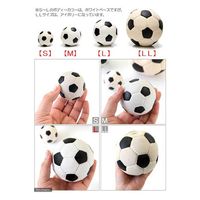 ダッドウェイ LANCO サッカーボールL 152673 1個（直送品）