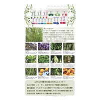 たかくら新産業 A.P.D.C. ウォータレスシャンプー 200ml 184127 1個（直送品）