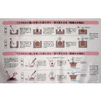 プロトリーフ バライフ バラのたい肥 5L 232874 1個（直送品）