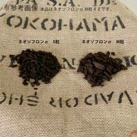 共和開発 ネオソフロンα M 4L 276214 1袋（直送品）