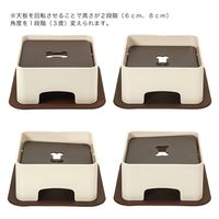 ハリオ わんテーブル　ショコラブラウン 290808 1個（直送品）