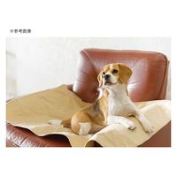 ダッドウェイ TALL TAILS ウォータプルーフパッド S ベージュ 284075 1個（直送品）