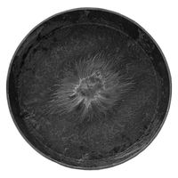 amabro アートストーン ラウンド ソーサー ブラック 22cm 256206 1個（直送品）