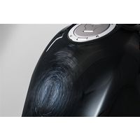 タナックス PGー275 プレミアベース プロ艶 1セット(2本)（直送品）