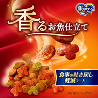 銀のスプーン 三ツ星グルメ 香るお魚仕立て 食事の吐き戻し軽減フード 国産 192g（16g×12袋）キャットフード 猫用 ドライ