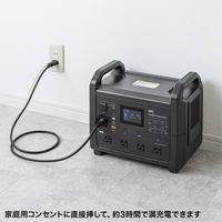 サンワサプライ ポータブル電源 (1485Wh) BTL-RDC28 1台（直送品）