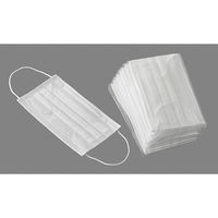 ボウエキ　備蓄用紫外線除菌マスク　62370　1箱（30個入（10P×3セット））（直送品）