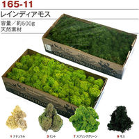 松村工芸 レインディアモス お徳用500g 7 スプリンググリーン [55] 165-11-7 1箱