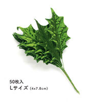 日本紐釦貿易 ひいらぎ　Lサイズ　約4x7.8cm　50枚入　MAF-158-50　5袋セット（直送品）