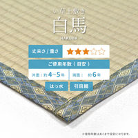 【玄関渡し】 萩原 い草カーペット　白馬（はくば）　61間8畳  370×370cm（直送品）