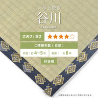 【玄関渡し】 萩原 い草カーペット　谷川（たにがわ）　36間8畳  364×364cm（直送品）