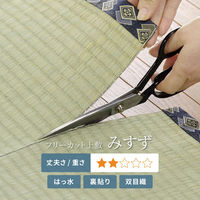 【玄関渡し】 萩原 フリーカット裏付き　い草カーペット　みすず　本間4.5畳  286×286cm（直送品）