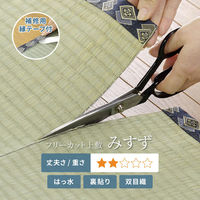 【玄関渡し】 萩原 フリーカット裏付き　い草カーペット　みすず　本間4.5畳　補修テープ付き  286×286cm（直送品）