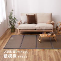 【玄関渡し】 萩原 折り畳める　水拭きできる畳マットレス　綾模様　シングル ブラウン 100×200×1.1cm（直送品）