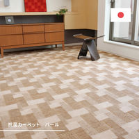 【アウトレット】萩原 レトロかわいい日本製抗菌カーペット バール 江戸間 6畳 ローズ 600003960 1枚セット