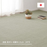 【玄関渡し】 萩原 ペットにやさしい抗菌カーペット　ステラ　江戸間4.5畳 アイボリー 261×261cm（直送品）