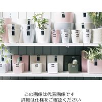 D&M DEPOT キューブポット D16.5 ピンク 955247 1セット(2個)（直送品）