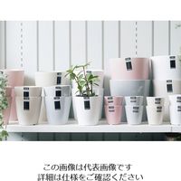 D&M DEPOT コニカルポット D20.5 ピンク 955227 1個（直送品）