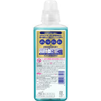 ナノックス ワン（NANOX one）PRO プロ 本体 大サイズ 600g 1個 洗濯 洗剤 ライオン（イチオシ）