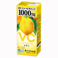 【アウトレット】エルビー おいしいビタミンC レモン 200ml  1セット（48本）パック飲料　紙パック　レモン果汁