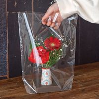 ヘッズ NEW無地クリアスタンドバッグ-XS NM-OSBXS 1パック(50枚)