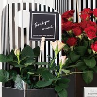 ヘッズ 二つ折スタイリッシュメッセージギフトカード-2 SMG-C2 1パック(30枚)