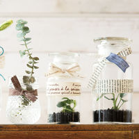 ヘッズ フレンチコットンリボン-2 FR-NR2 1巻