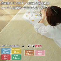 グラムスタイル ポッシュ ラグ 1900×1900mm アイボリー 908017 1枚（直送品）