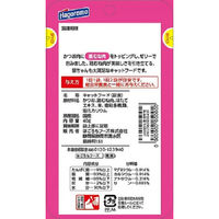 ねこまんま 鶏むね肉入 国産 40g 24袋 キャットフード ウェット パウチ