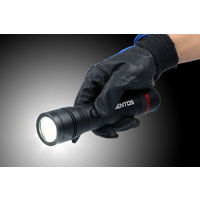 懐中電灯 LED IP66準拠 ブラック ジェントス REXXED LEDフラッシュライト RX-022DS 1個