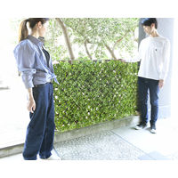 【グリーンフェンス】 山善（YAMAZEN） リーフデコレーション エクスパンド LG色 EX-90180LG 1個