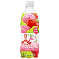 アサヒ飲料 三ツ矢フルーツリッチプラス GABA 500ml 1セット（48本）