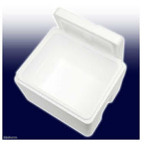 生体梱包資材 発泡スチロール箱（中）ＴＩー２２０ー２（幅４０×奥行３３×高さ２６ｃｍ）　フタ付き 201994 1個（直送品）