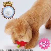 ペティオ もぎたてフルーツボール パイナップル S 271033 1個（直送品）