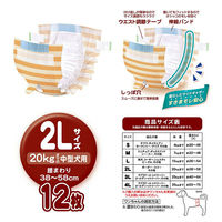 ペティオ 犬用オムツ zuttone 介護から生まれた紙おむつ 2L 12枚 271598 1個（直送品）