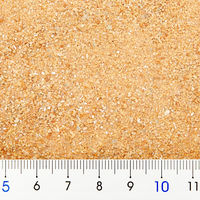 あすなろエビ 底床添加型バクテリア 50g 282072 1個（直送品）