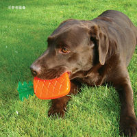 ラガー ROSEWOOD バイオセーフ スマートトイ パインアップル 284635 1個（直送品）