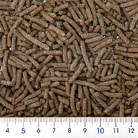 ＥＢＩ　ＴＥＮＧＵ ＥＢＩＴＥＮＧＵ　ｍｅａｌ　Ｎｏ．２　エビテング　ミール　５０ｇ 287253 1個（直送品）