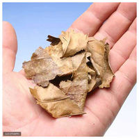 リッツイ ドクターリーフ ちぎりタイプ 12g 1袋 45398（直送品）