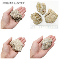 ソネケミファ レイアウトデザイン 麦飯石 M 266697 1個（直送品）