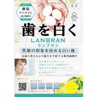 ランブラン 薬用 歯磨き粉 ホワイトリプロ ホワイトニングハミガキ 100g 1本 三和通商